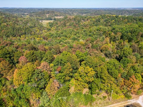 Hunting and Timber Tract Land