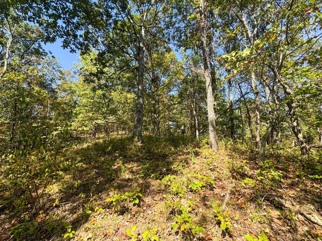 Picture 41