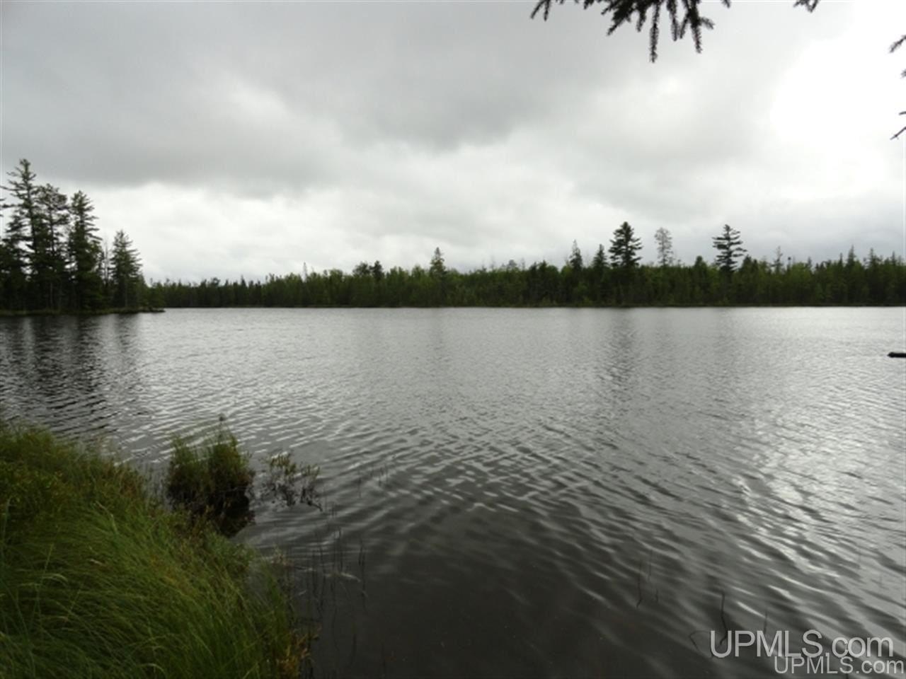 Private Lakefront Hunting Land