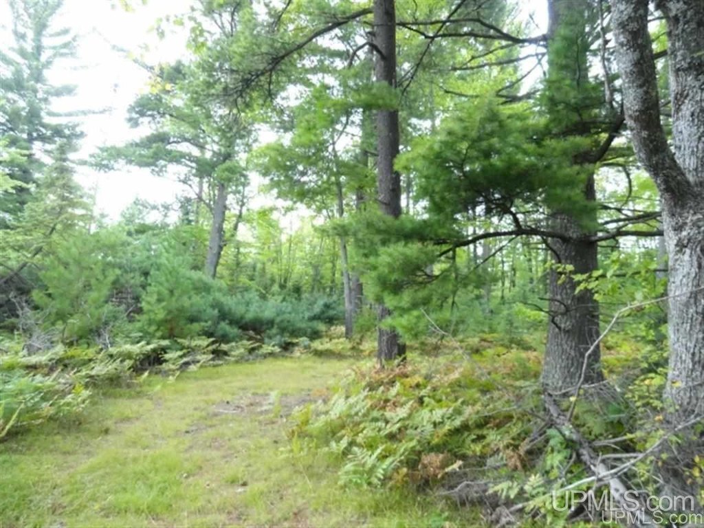 Picture 8
