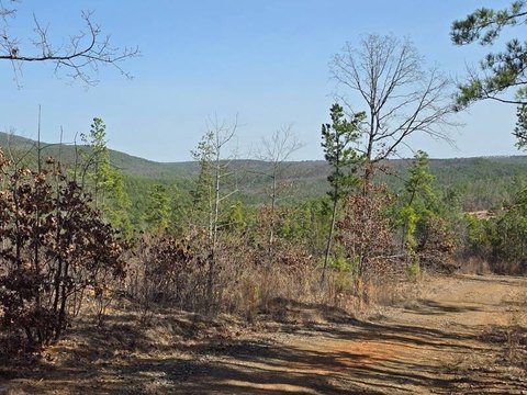 Wooded Off-Grid Cabin Acreage