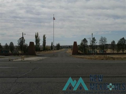 Land, Roswell, NM