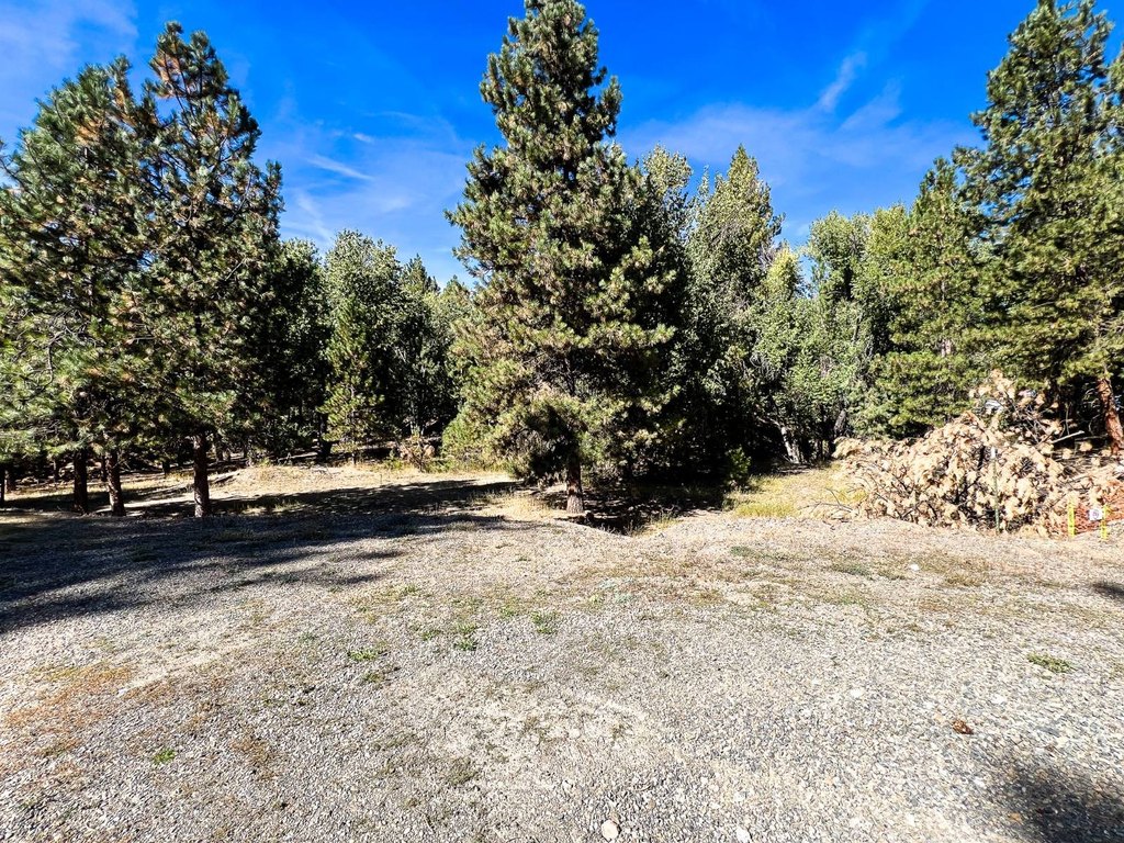 Picture 25