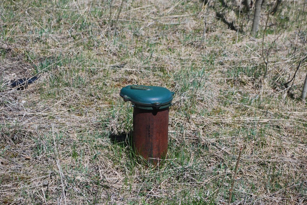 Picture 15
