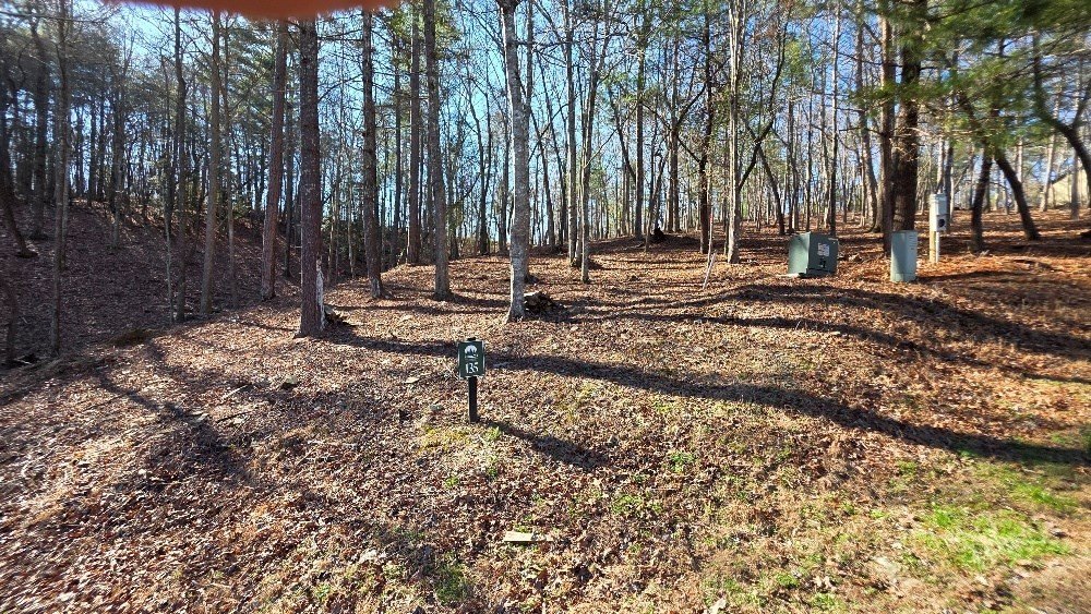 Picture 3