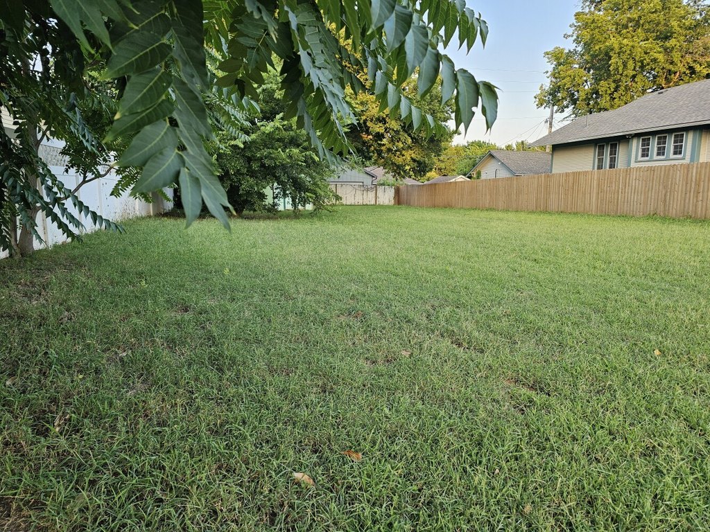 Picture 3