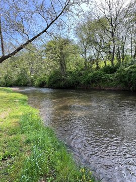 Creekside Land Near New River