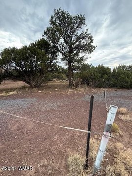 Concho, AZ Land For Sale