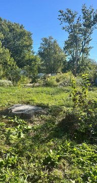 Land, Urbana, IL