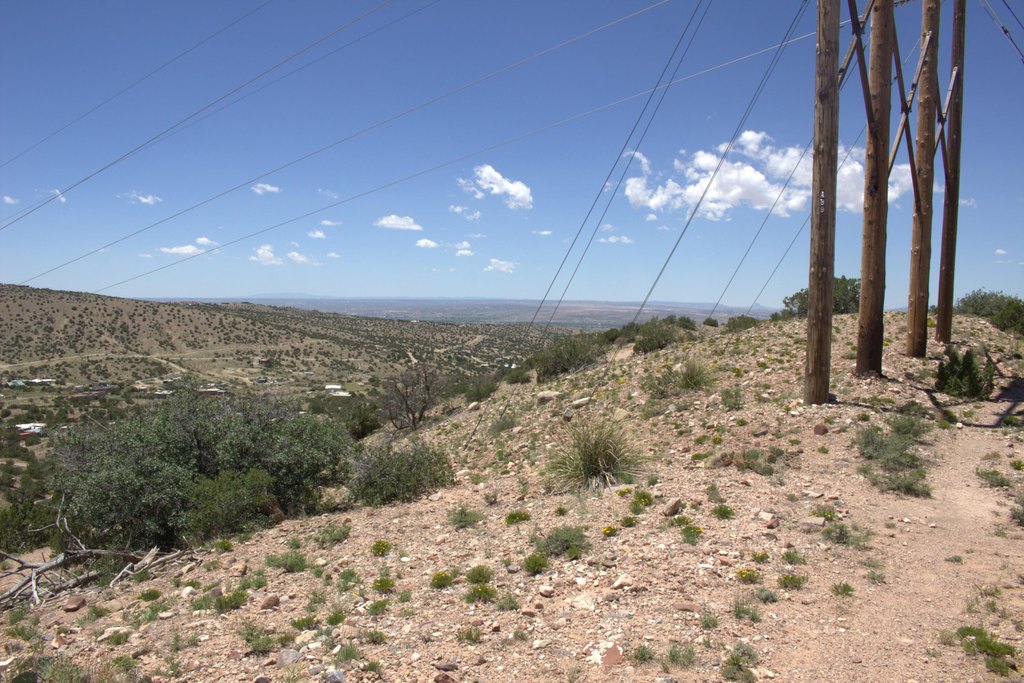 Picture 6