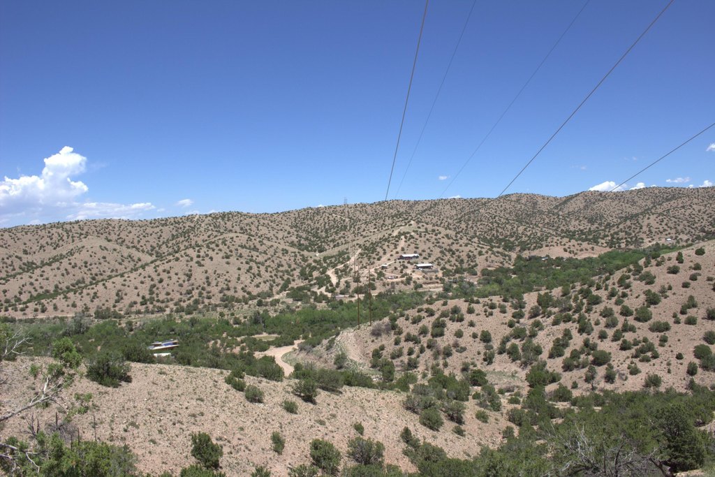 Picture 9