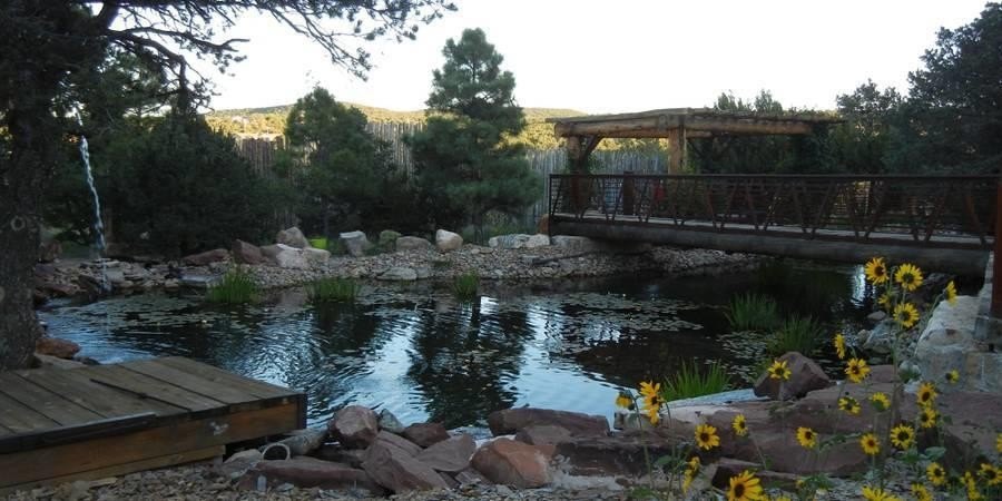 Picture 3