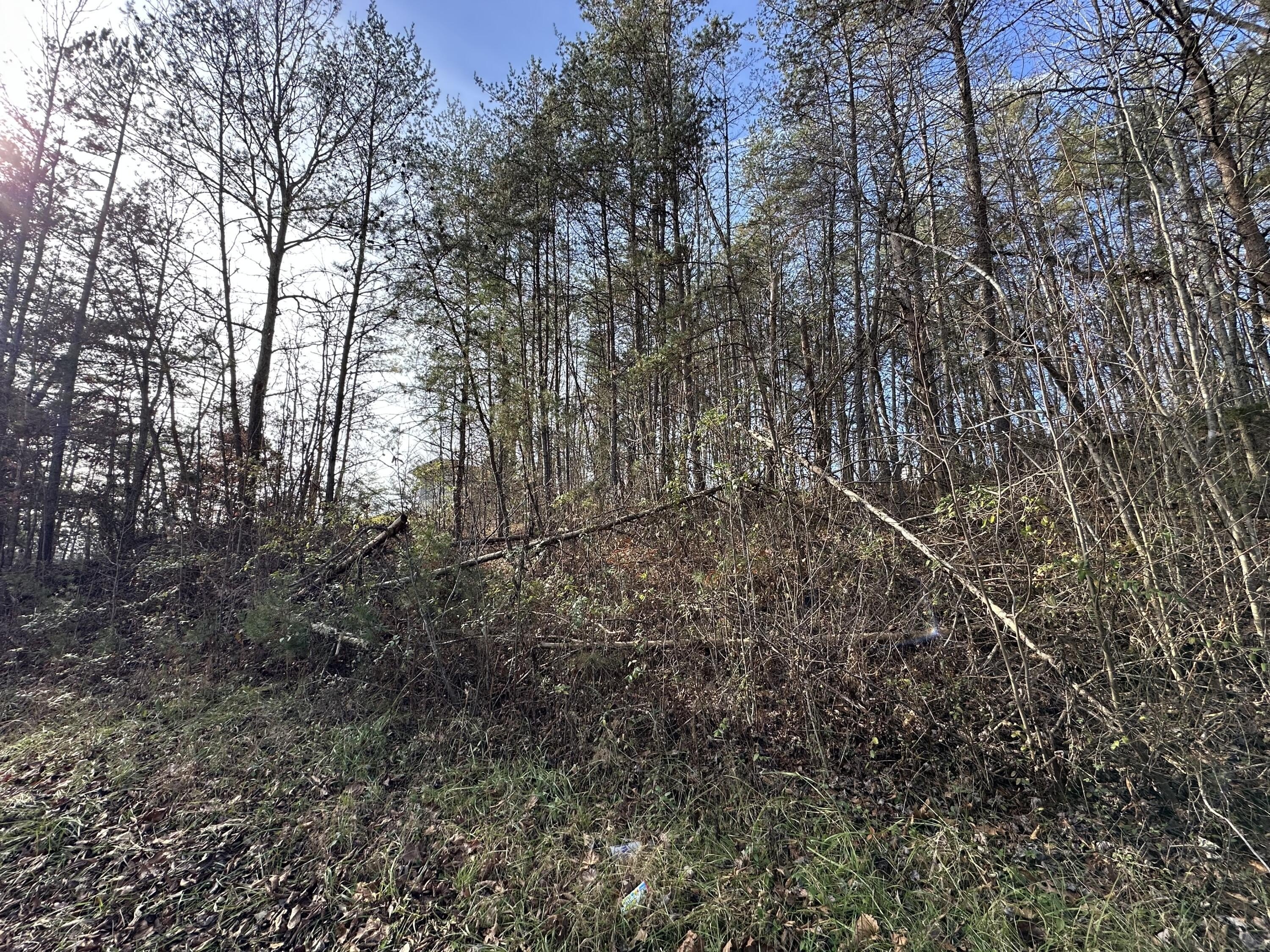 Residential Lot in Hemlock Subdivision