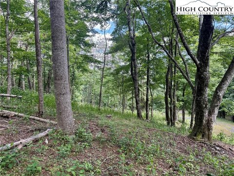 West Jefferson Mountain Dream Home Site