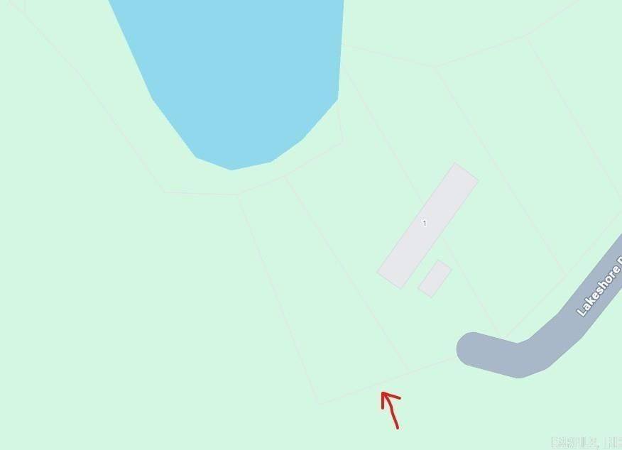 Picture 11