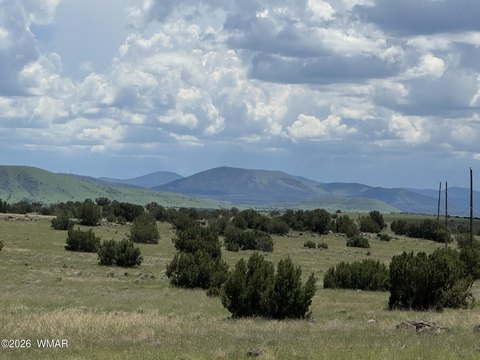 Land, Concho Valley, AZ