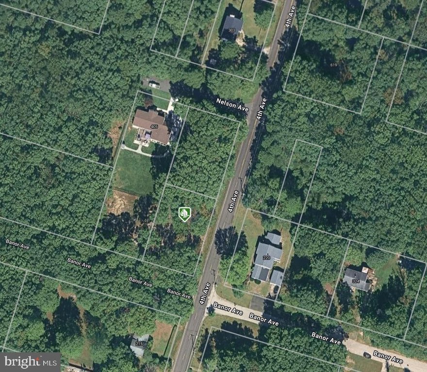 Picture 6