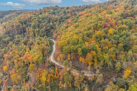 Lots & Acreage, Oneida, TN