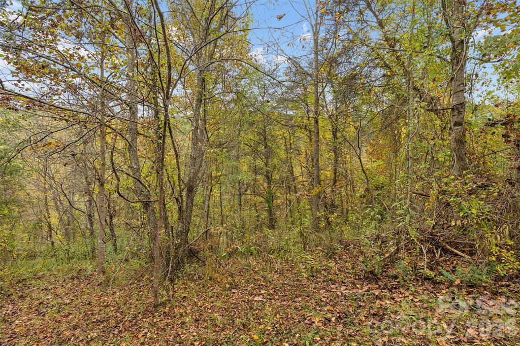 Picture 37