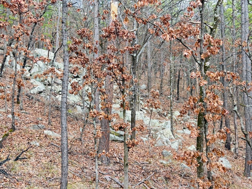 Picture 15
