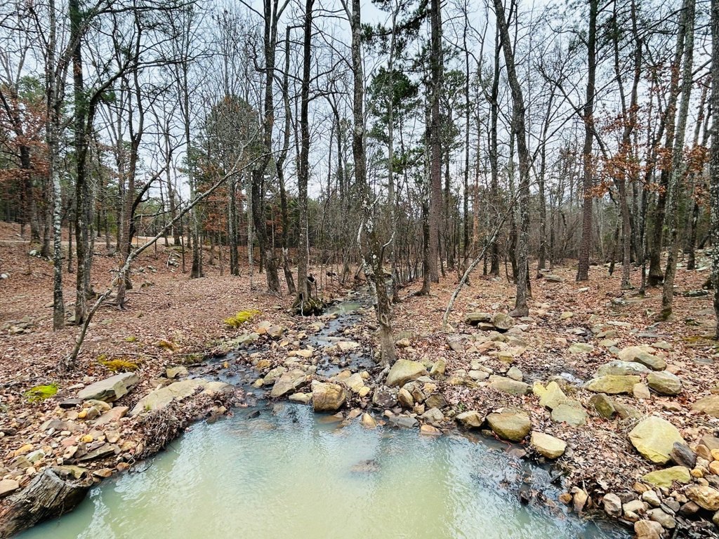 Picture 38