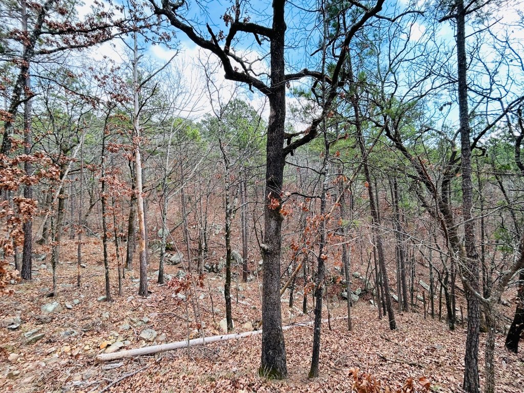 Picture 17