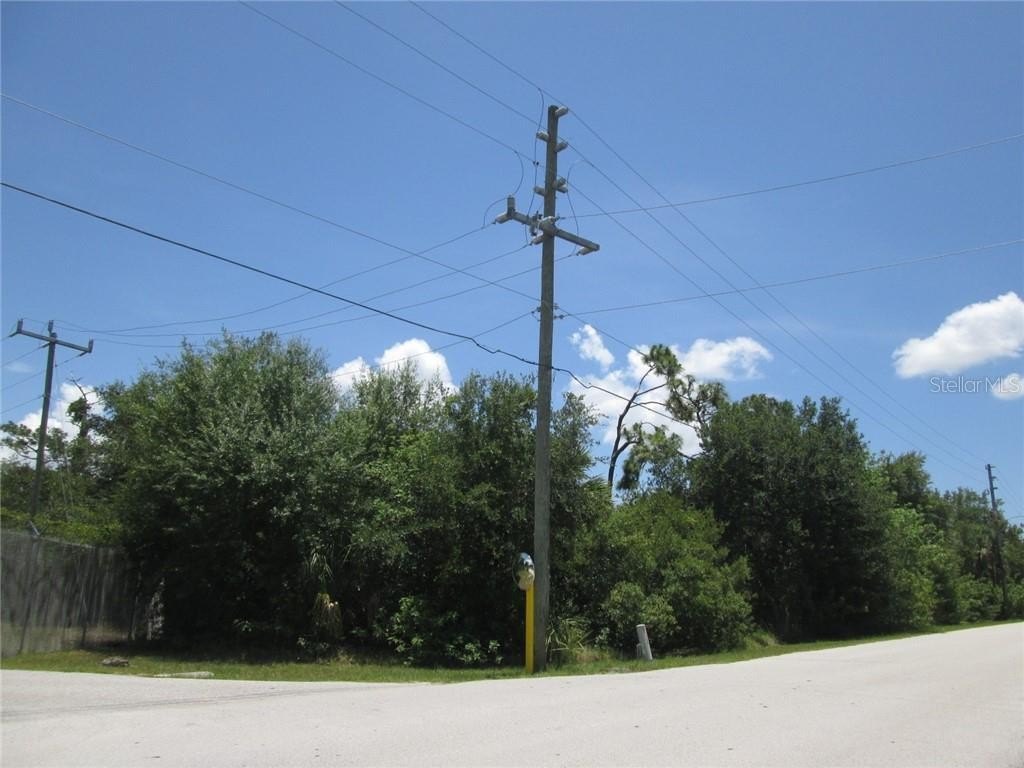 Picture 3