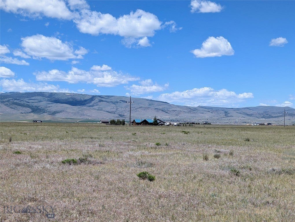 Picture 43