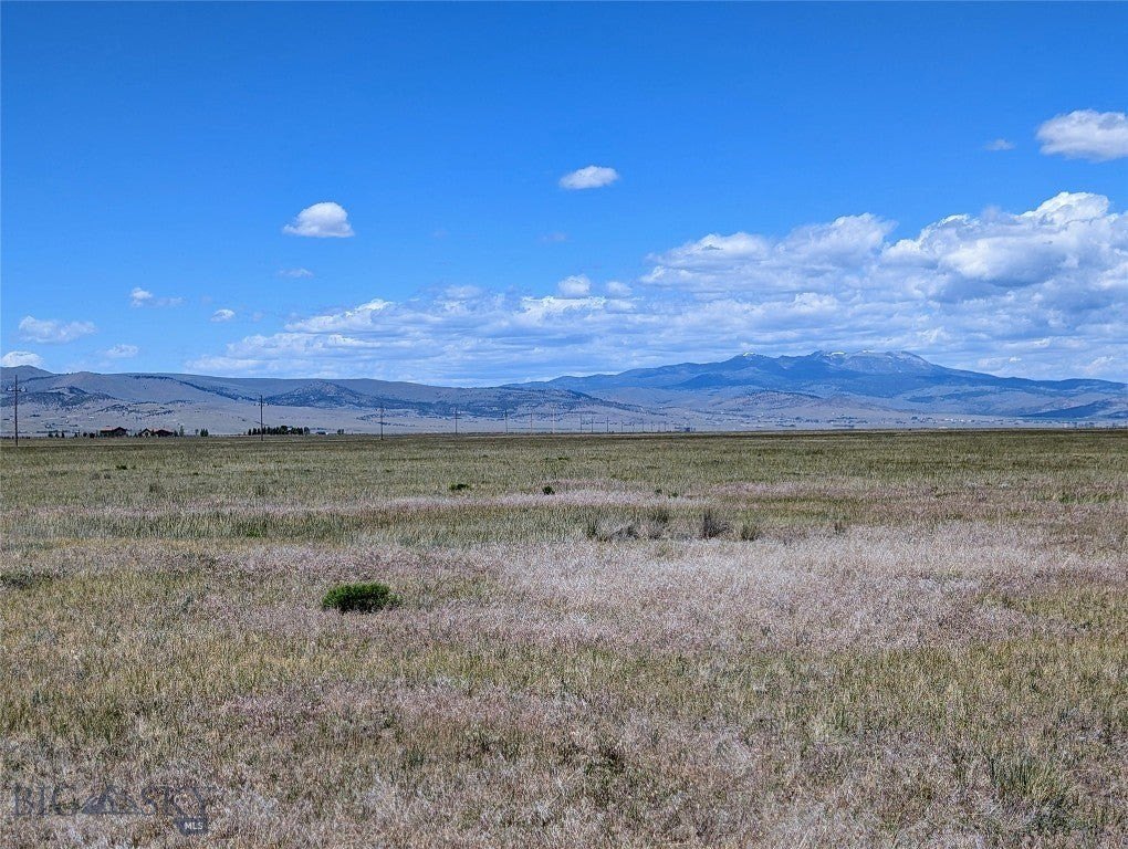 Picture 41