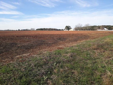 Commercial Development Land Tract