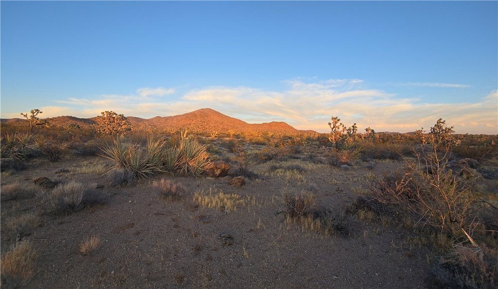 Picture 25