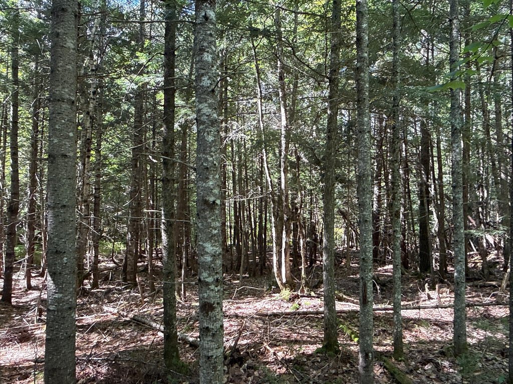 Picture 30
