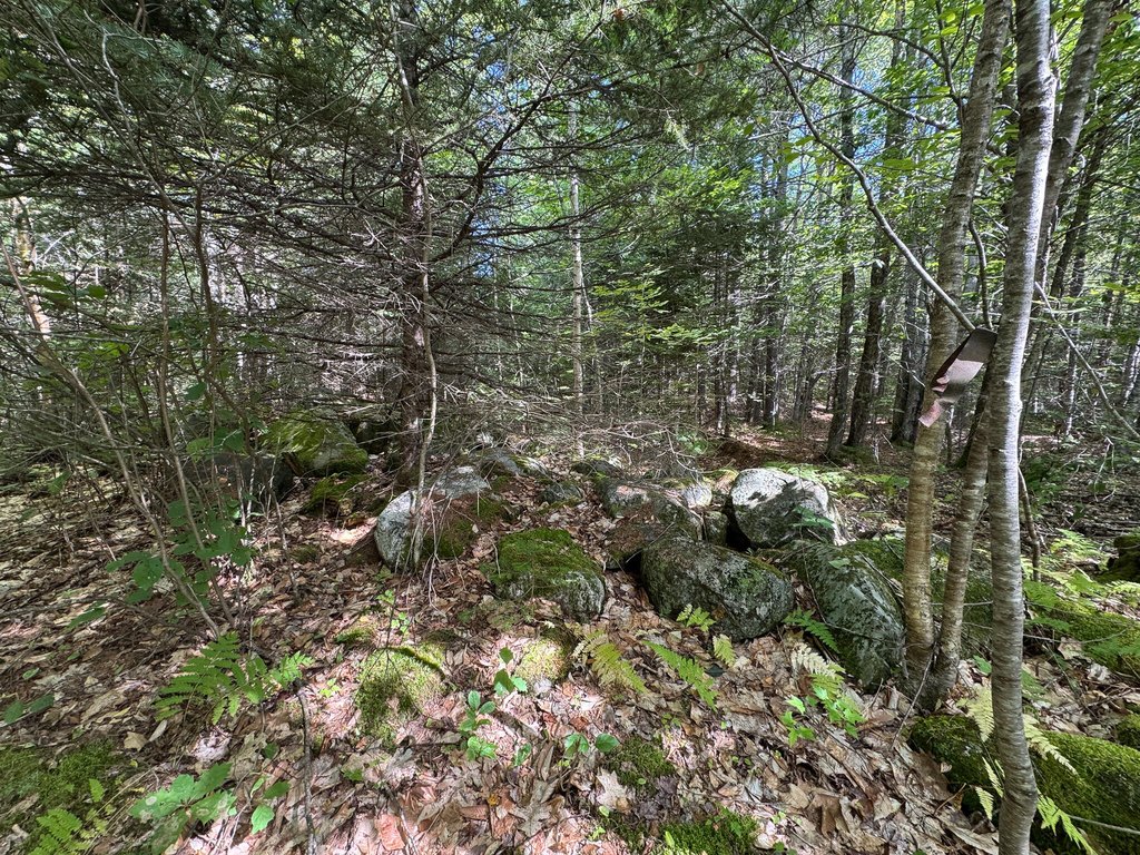 Picture 23