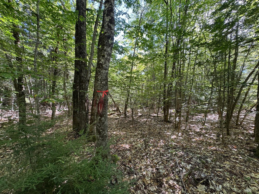 Picture 28