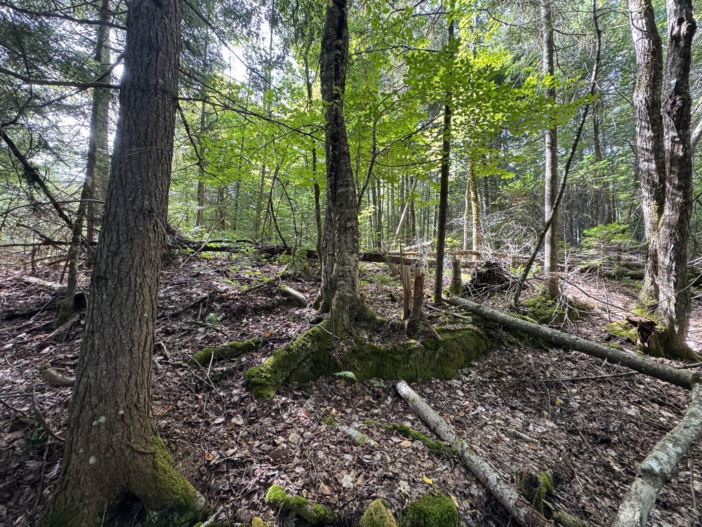 Picture 26