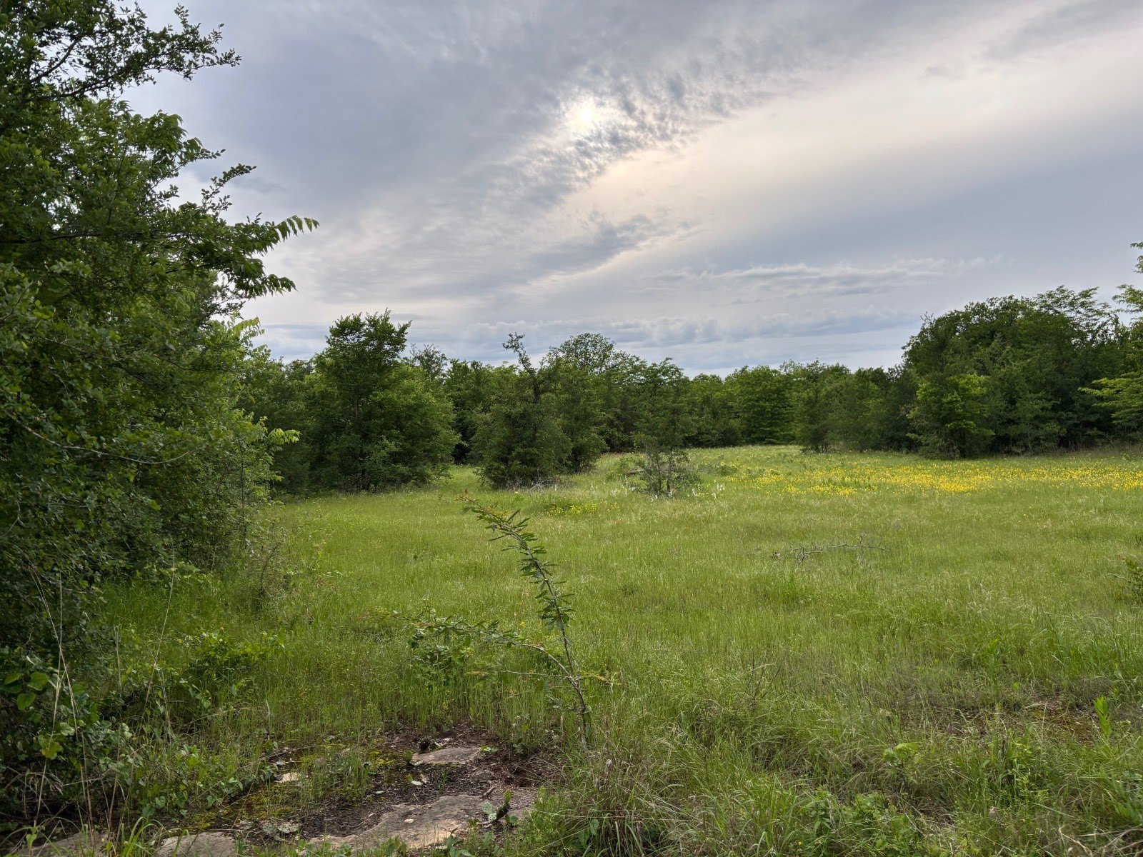 26.5 Acres Vacant Land