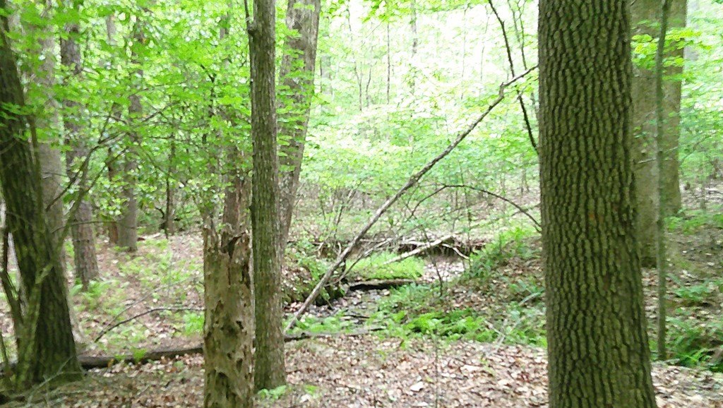 Picture 19