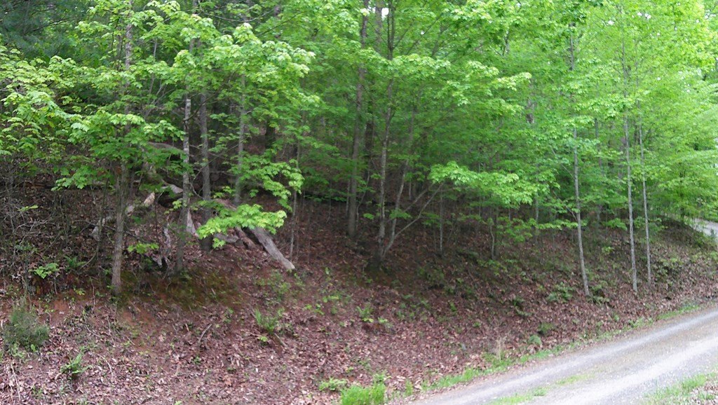 Picture 30