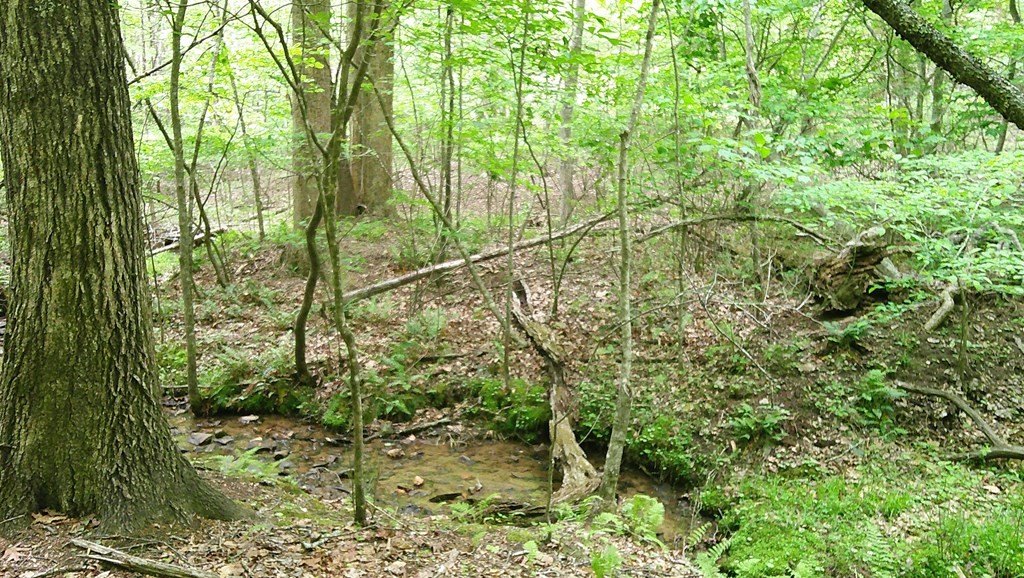 Picture 16