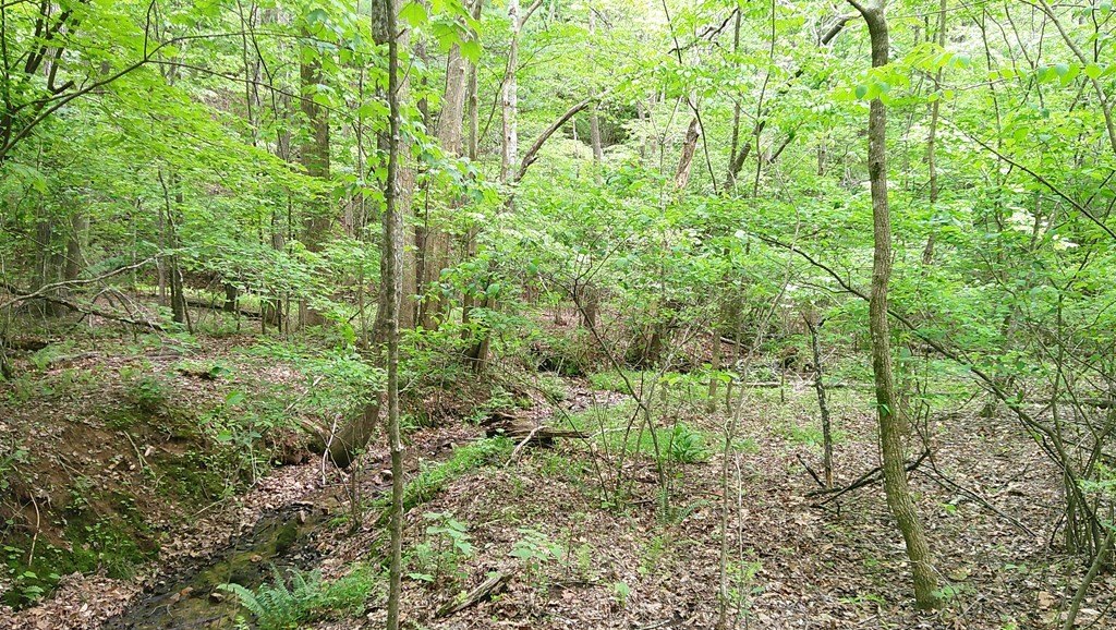Picture 28