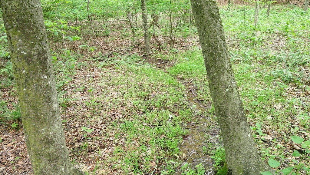 Picture 11