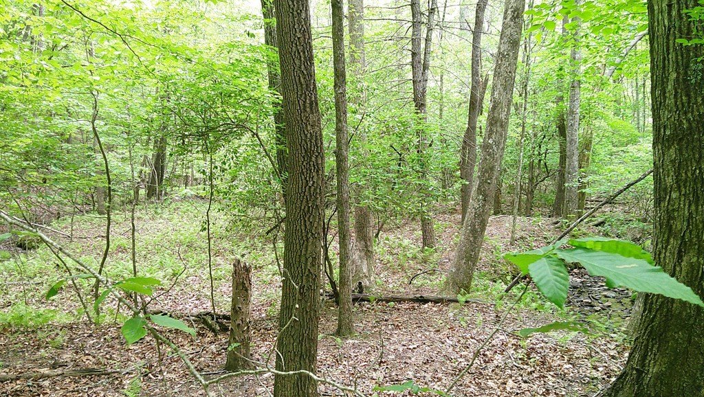 Picture 17