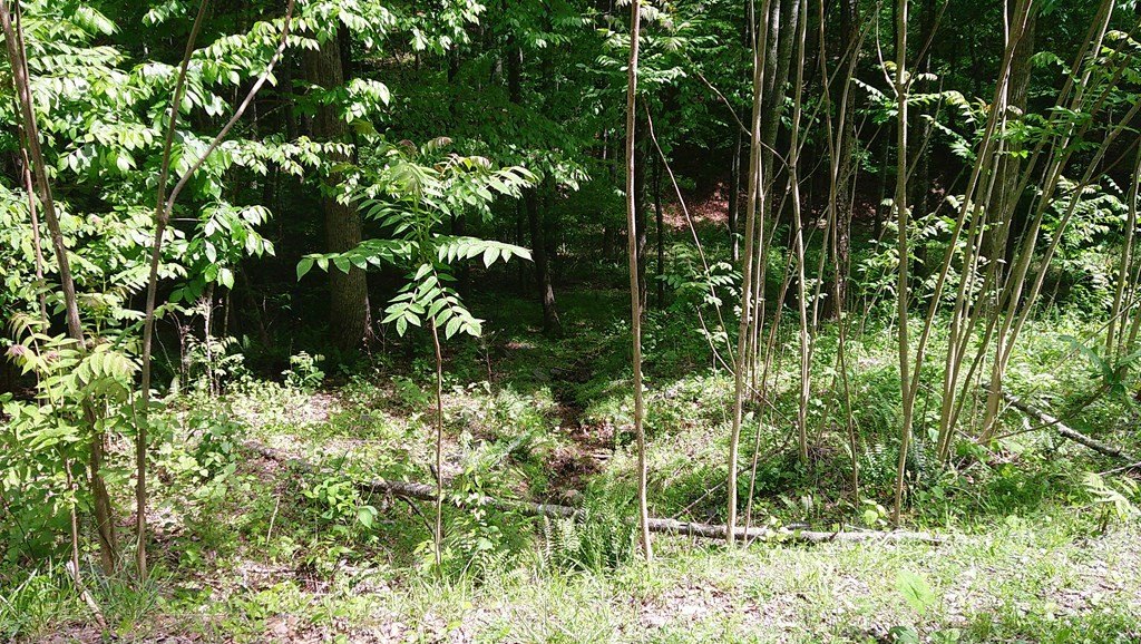 Picture 43