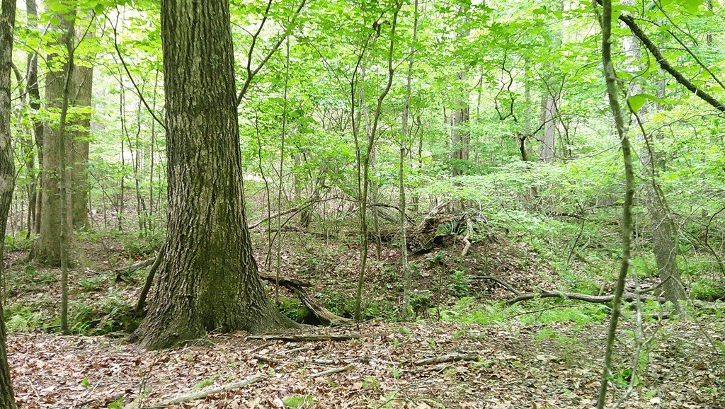 Picture 20
