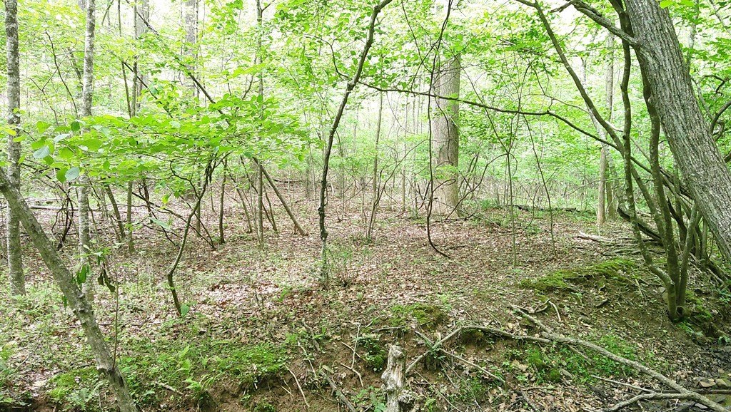 Picture 14