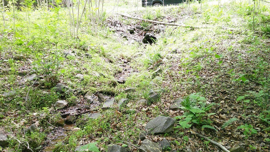 Picture 25