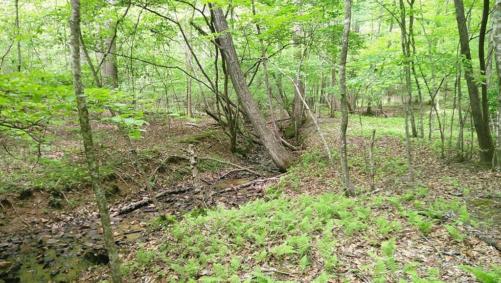 Picture 13
