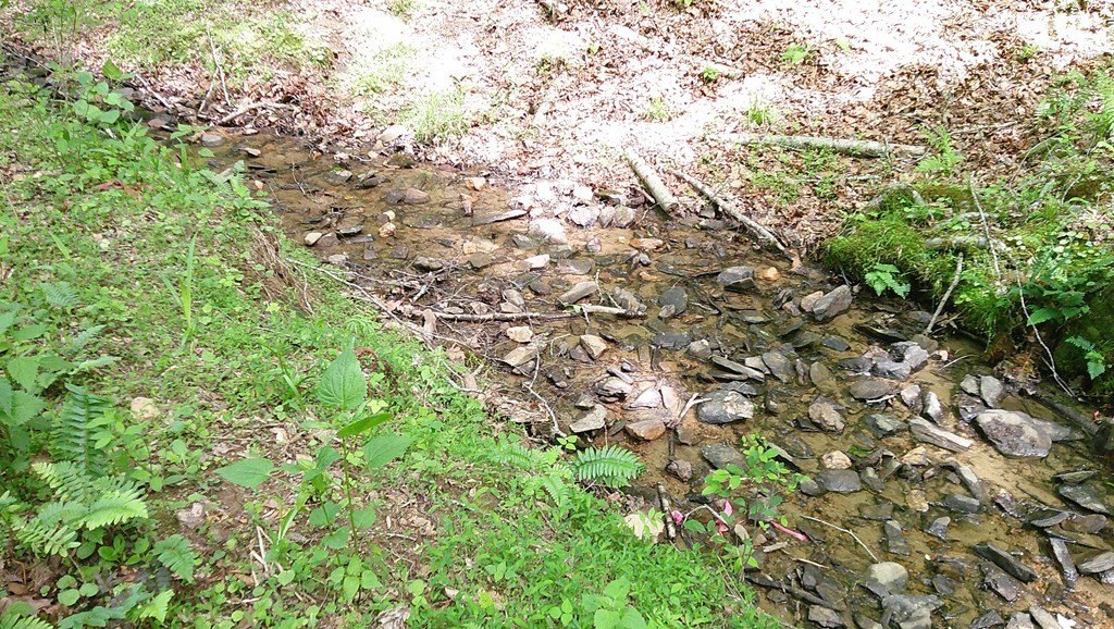 Picture 51