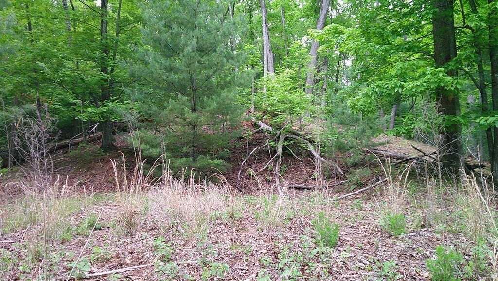 Picture 31