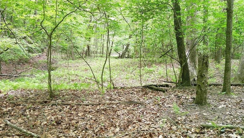 Picture 18